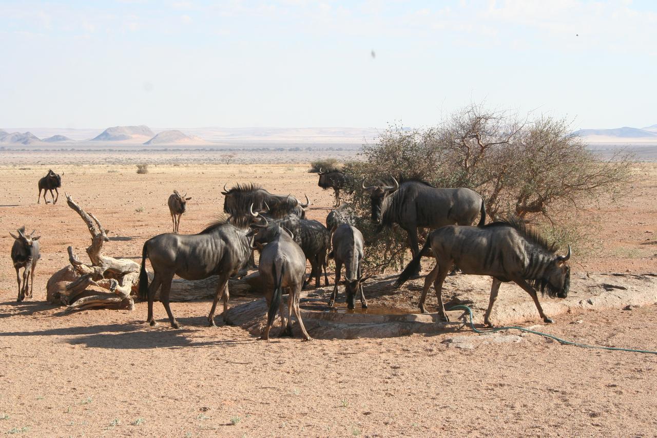 Namib Naukluft Lodge Solitaire Zewnętrze zdjęcie